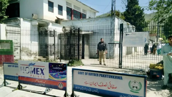 افغان ڈاکٹروں