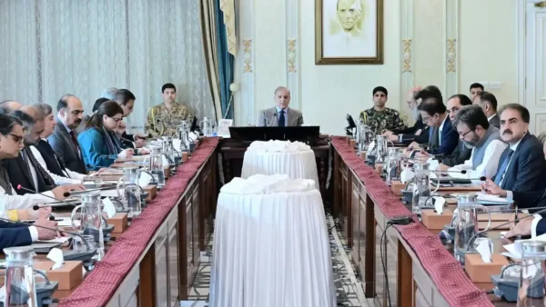 قومی ڈیجیٹل پلیٹ فارم