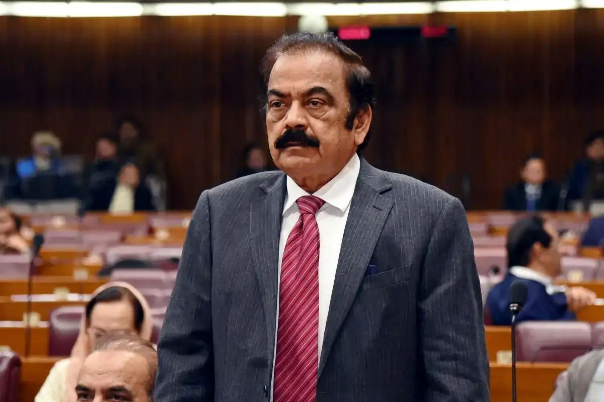 دہشت گردی