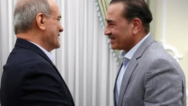 فیلڈ مارشل