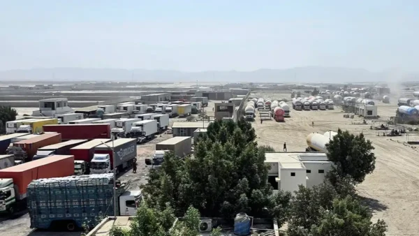 مال بردار