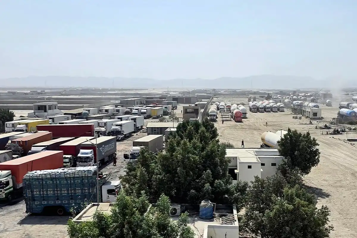 مال بردار