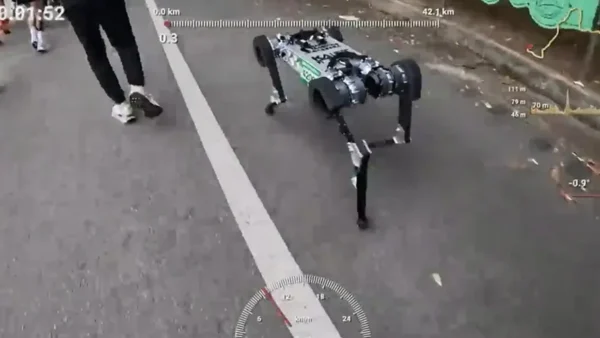 رائبو ٹو روبوٹ کی میراتھن