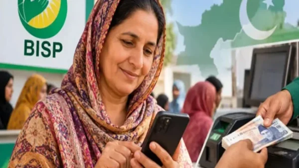 بی آئی ایس پی ادائیگیوں کا نیا نظام