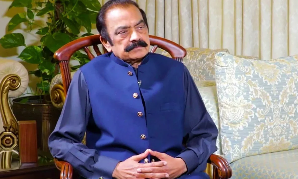 رانا ثنا اللہ پی ٹی آئی